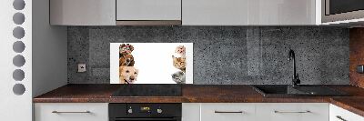 Dekorační panel sklo Psy a kočky