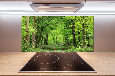 Dekorační panel sklo Jarní les