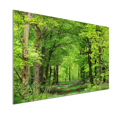 Dekorační panel sklo Jarní les