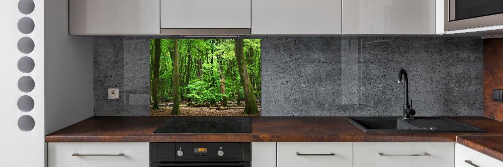 Panel do kuchyně Nizozemský les