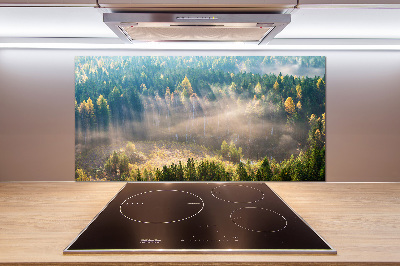 Dekorační panel sklo Mlha v lese