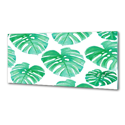 Skleněný panel do kuchynské linky Monstera