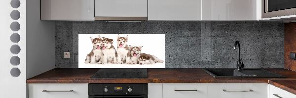 Panel do kuchyně Štěňata Husky