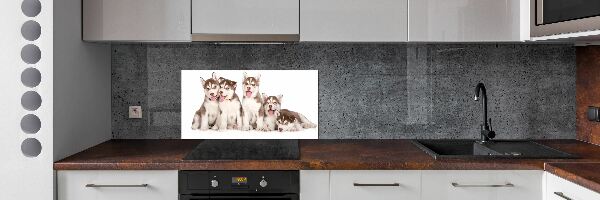 Panel do kuchyně Štěňata Husky