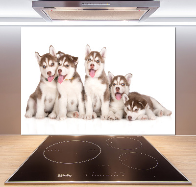 Panel do kuchyně Štěňata Husky