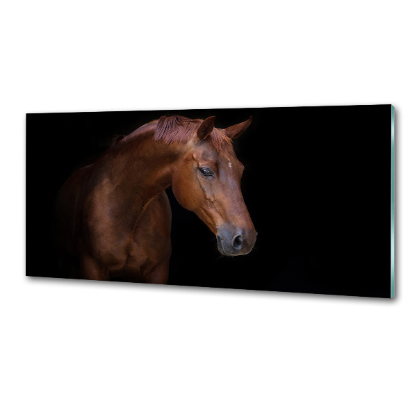 Dekorační panel sklo Hnědý kůň