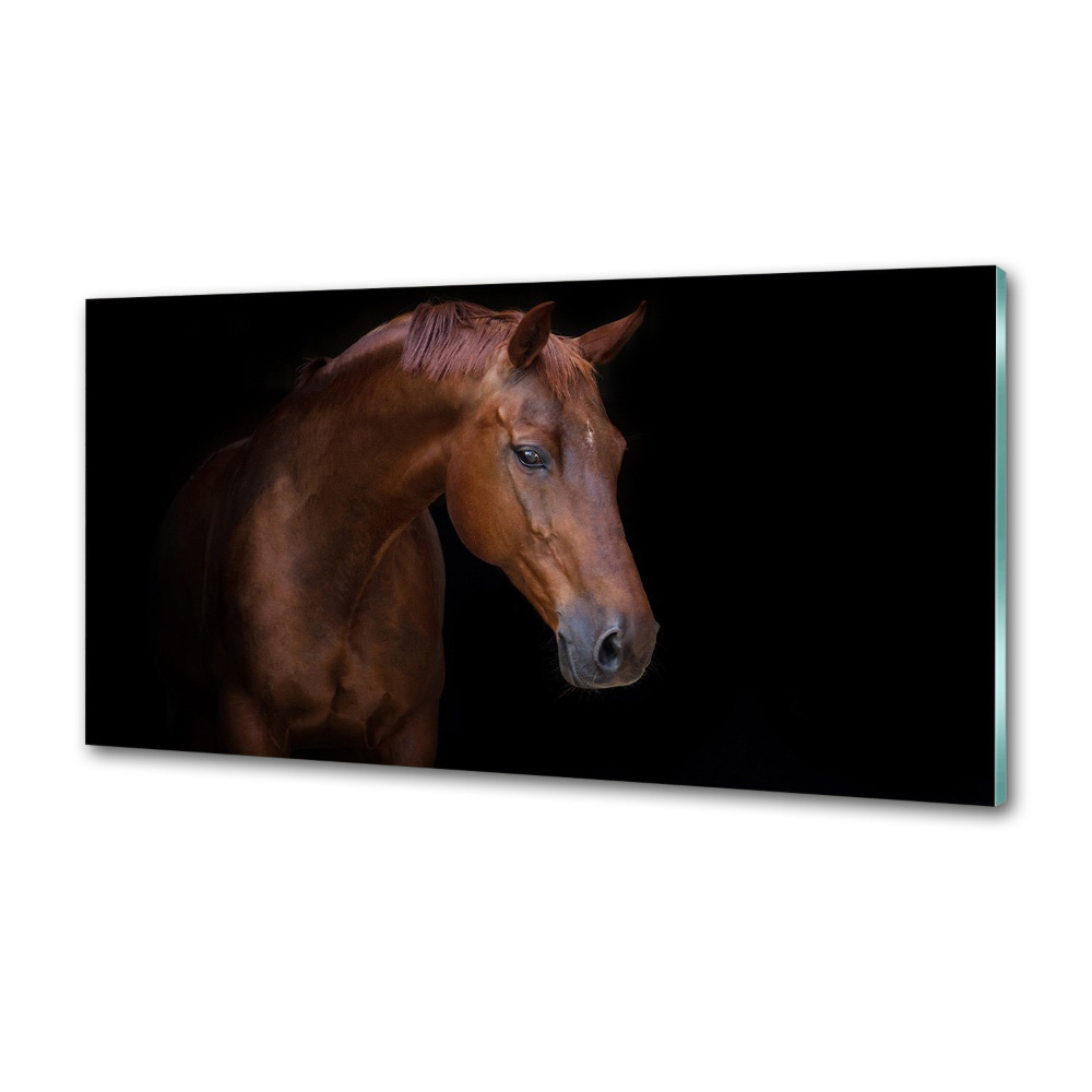Dekorační panel sklo Hnědý kůň