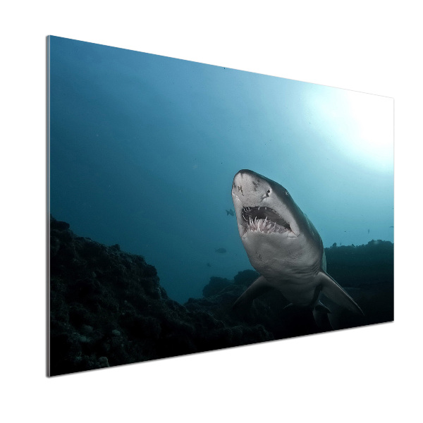 Dekorační panel sklo Velký žralok
