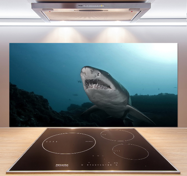 Dekorační panel sklo Velký žralok