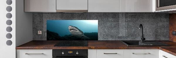 Dekorační panel sklo Velký žralok