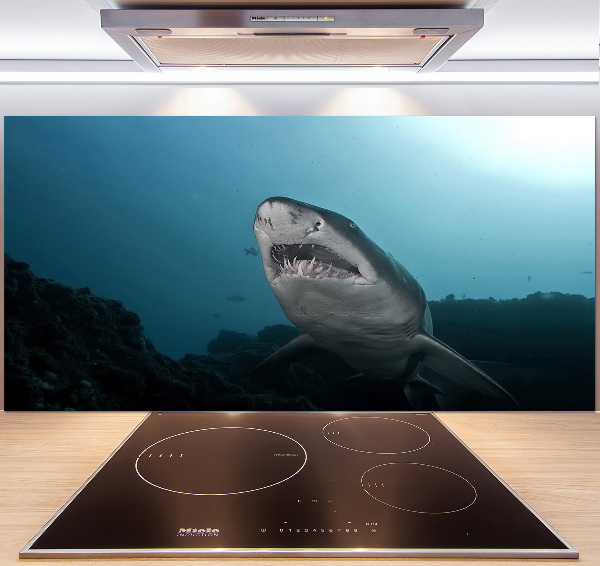 Dekorační panel sklo Velký žralok