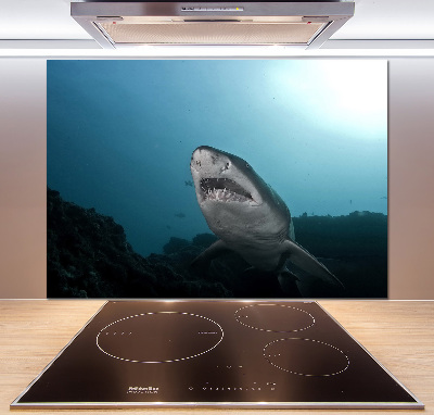 Dekorační panel sklo Velký žralok