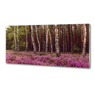 Dekorační panel sklo Vřesoviště