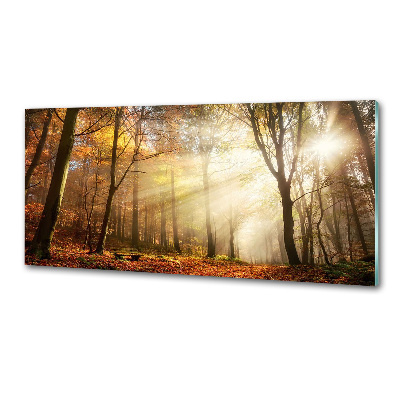 Dekorační panel sklo Mlha v lese