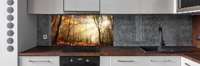 Dekorační panel sklo Mlha v lese