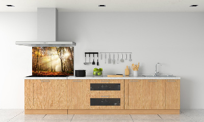 Dekorační panel sklo Mlha v lese