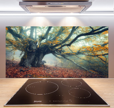 Dekorační panel sklo Starý strom