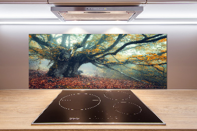 Dekorační panel sklo Starý strom