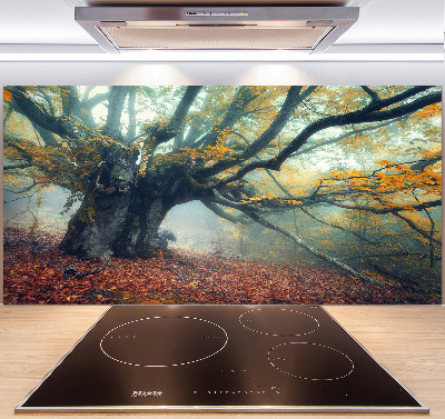 Dekorační panel sklo Starý strom