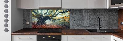 Dekorační panel sklo Starý strom