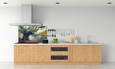 Dekorační panel sklo Starý strom