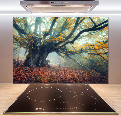Dekorační panel sklo Starý strom