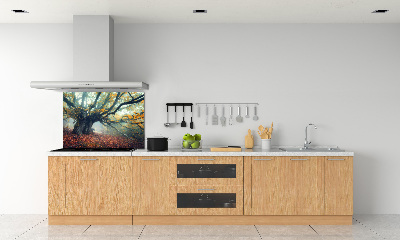 Dekorační panel sklo Starý strom