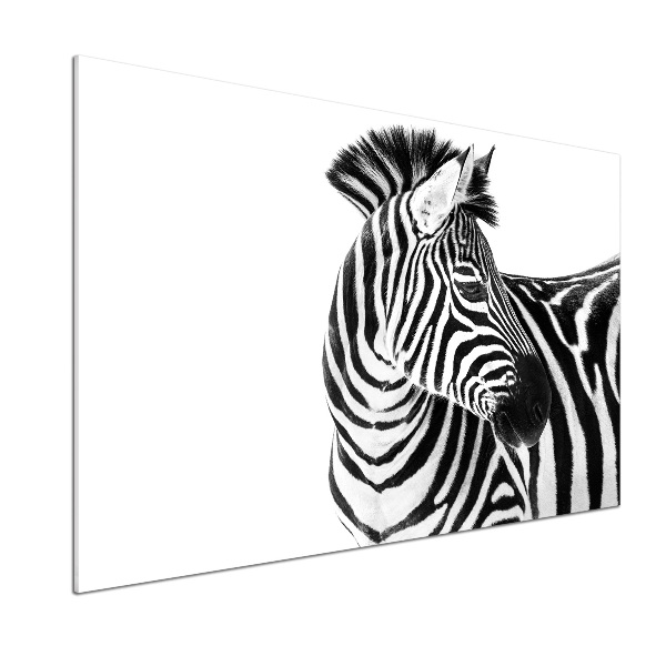 Panel do kuchyně Zebra ve sněhu
