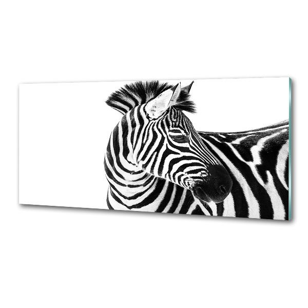 Panel do kuchyně Zebra ve sněhu