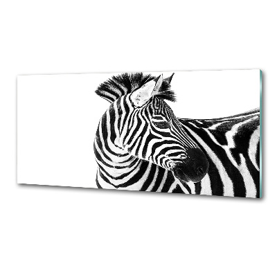 Panel do kuchyně Zebra ve sněhu