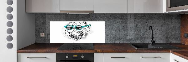 Panel do kuchyně Kočka v brýlích