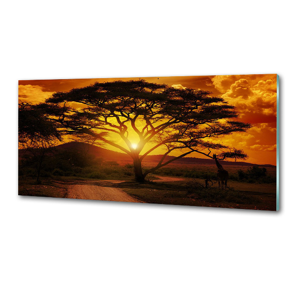 Panel do kuchyně Západ Afrika