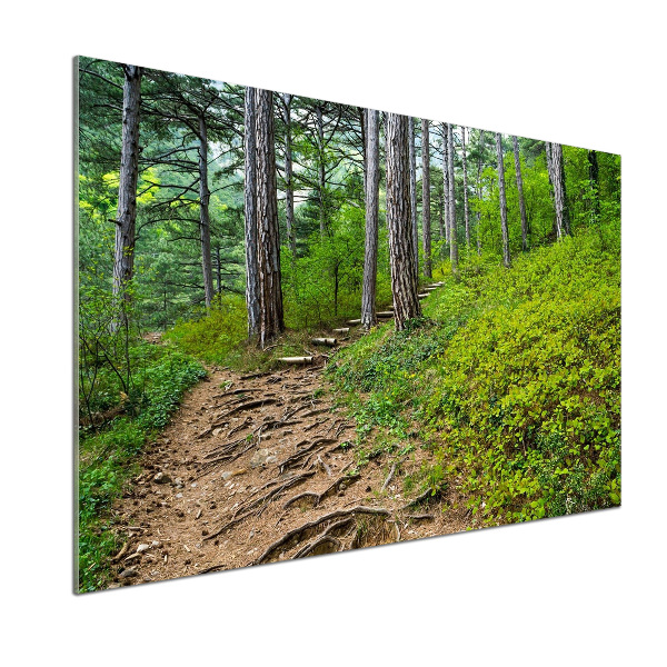 Panel do kuchyně Lesní stezka
