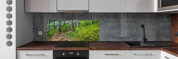 Panel do kuchyně Lesní stezka