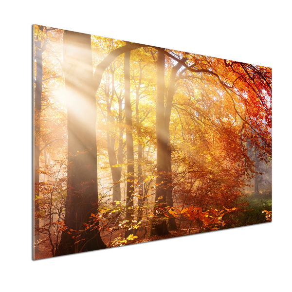 Dekorační panel sklo Podzimní les