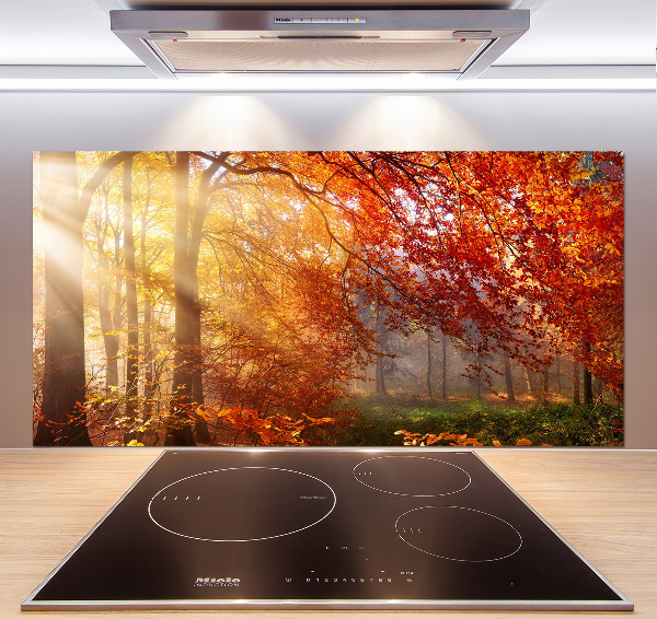 Dekorační panel sklo Podzimní les