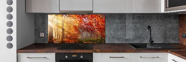 Dekorační panel sklo Podzimní les