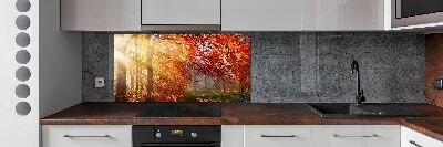 Dekorační panel sklo Podzimní les