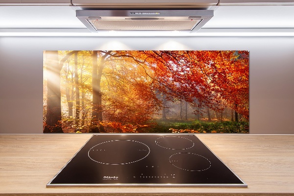Dekorační panel sklo Podzimní les