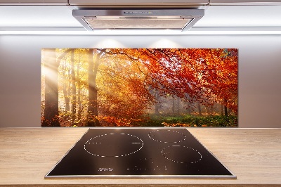 Dekorační panel sklo Podzimní les
