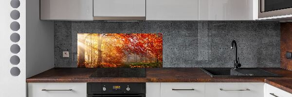 Dekorační panel sklo Podzimní les