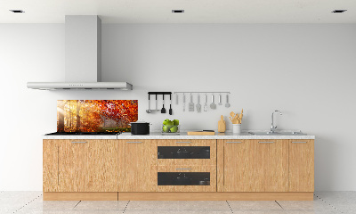 Dekorační panel sklo Podzimní les