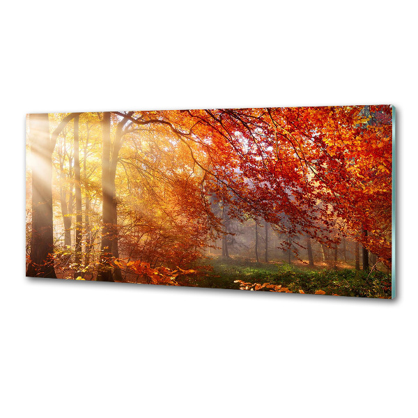 Dekorační panel sklo Podzimní les