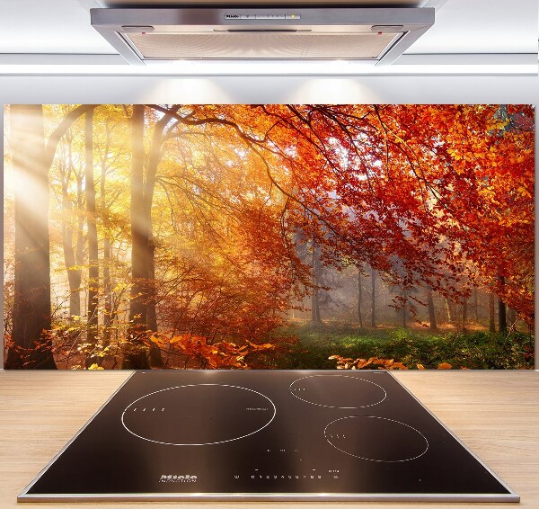 Dekorační panel sklo Podzimní les