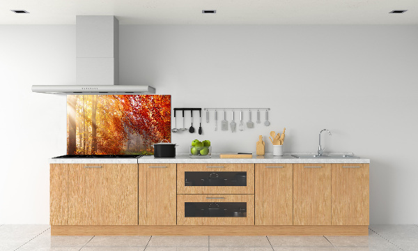 Dekorační panel sklo Podzimní les