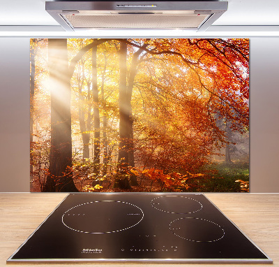 Dekorační panel sklo Podzimní les