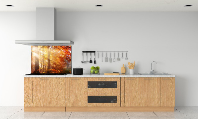 Dekorační panel sklo Podzimní les