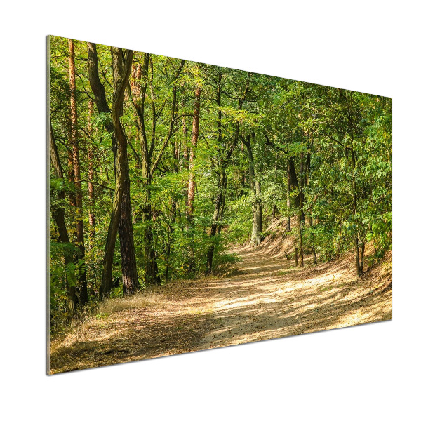 Panel do kuchyně Lesní stezka