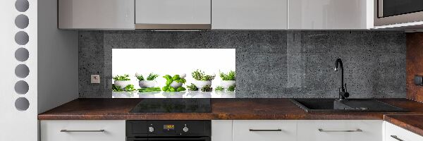 Skleněný panel do kuchyně Byliny