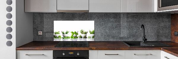 Skleněný panel do kuchyně Byliny